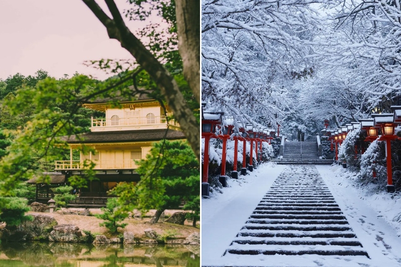 Travel to Japan in summer or winter